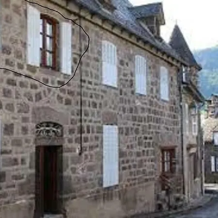 Gite De L Aspre Fontanges Exterior foto